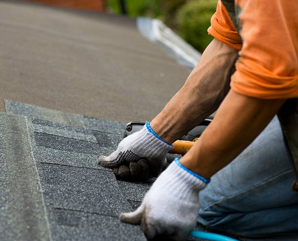 Professional Roofing Contractor in Eidson Road, TX