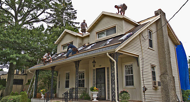 Best Metal Roofing Contractor  in Eidson Road, TX