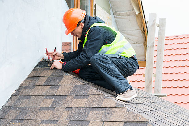 Best Roof Gutter Cleaning  in Eidson Road, TX