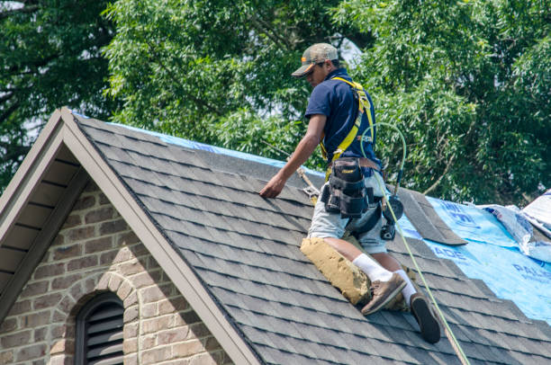 Best Roof Waterproofing Services  in Eidson Road, TX
